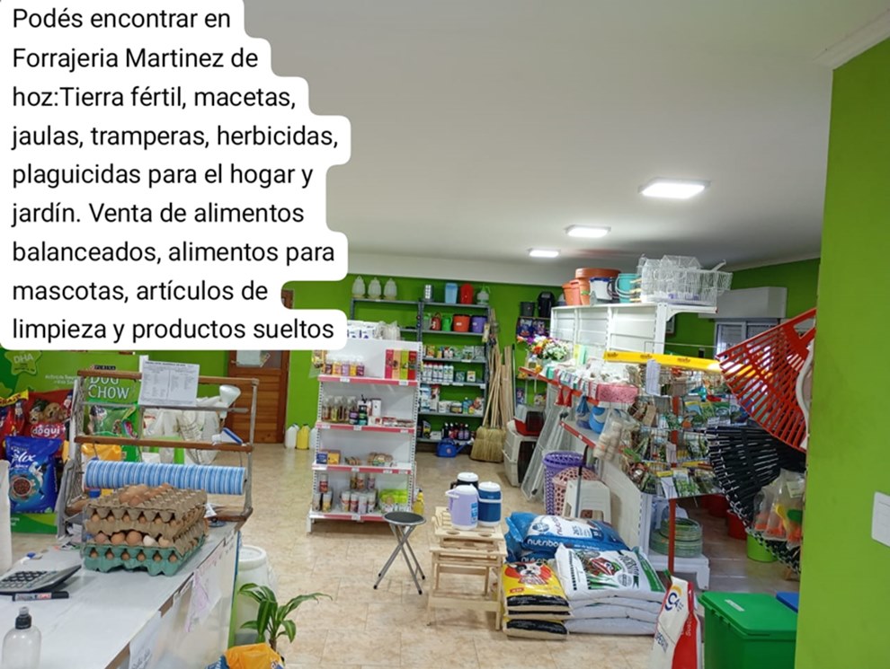 Categorias