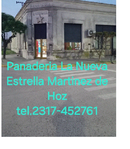 Categorias